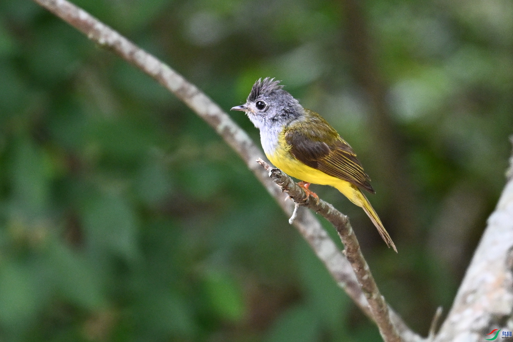 DSC_3064.JPG