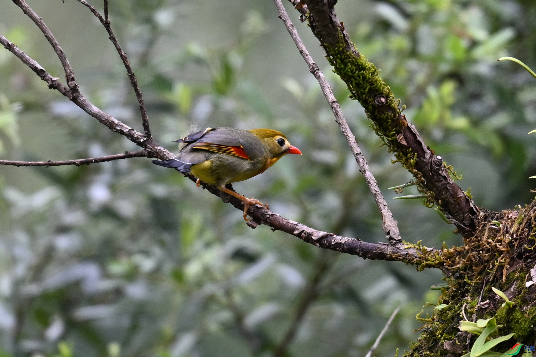 DSC_3003.JPG