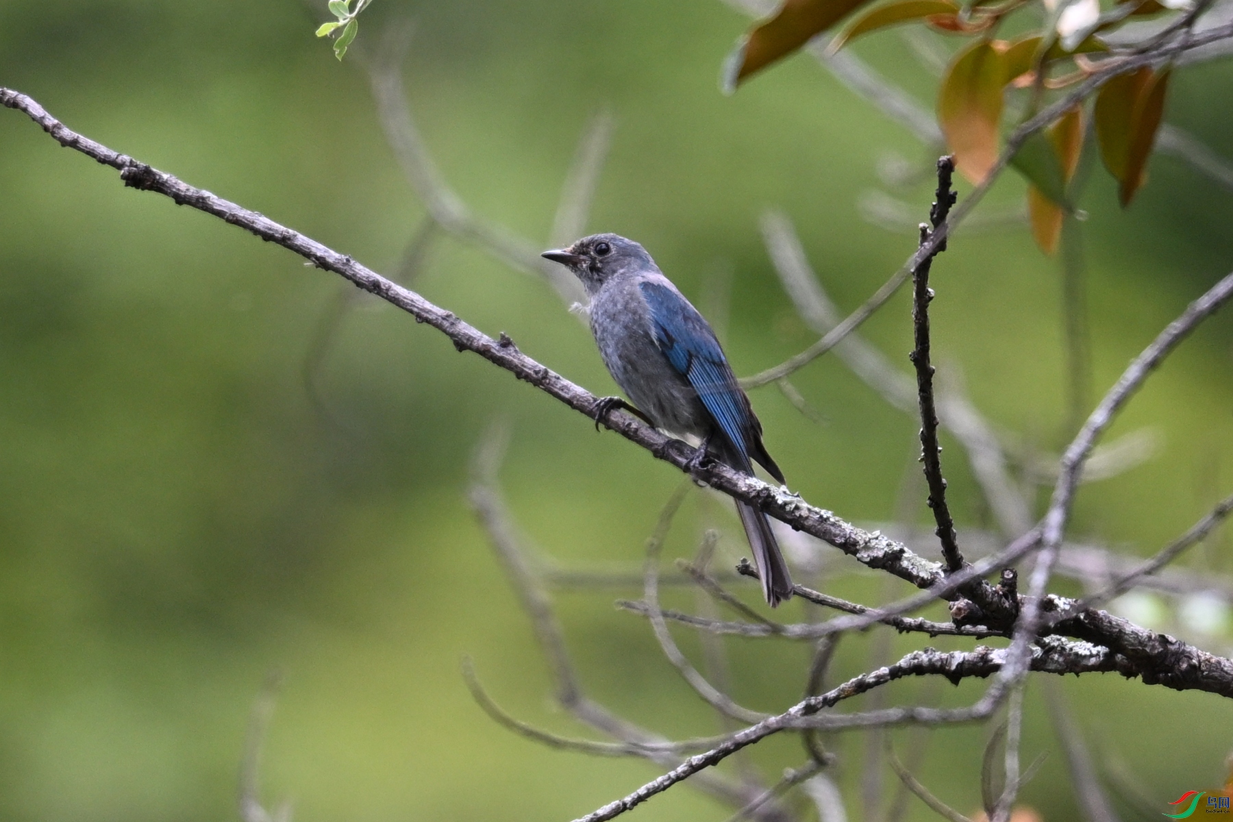 DSC_3017.JPG