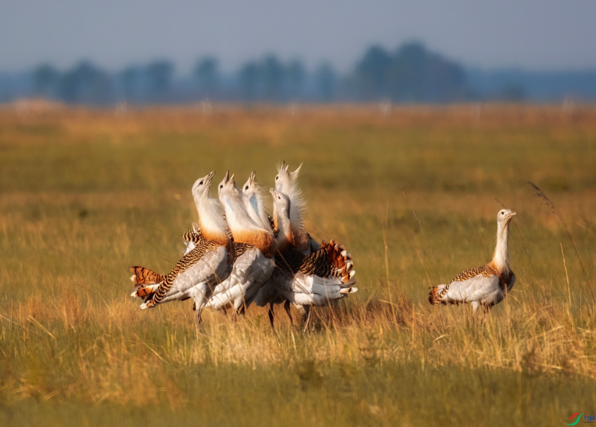 _DSC1815 ����-01.jpeg