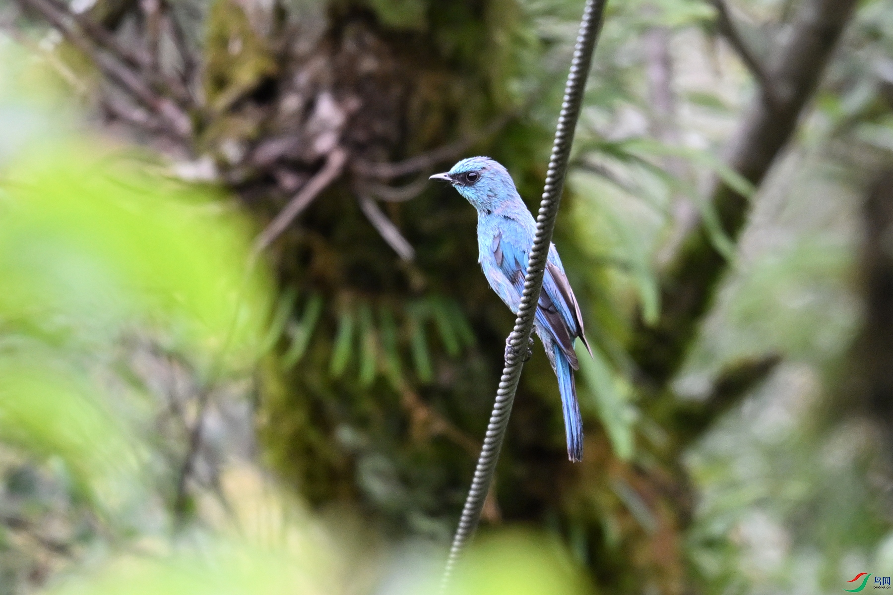 DSC_3054.JPG