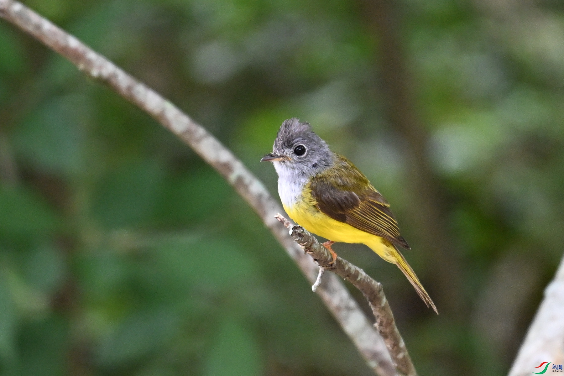 DSC_3080.JPG