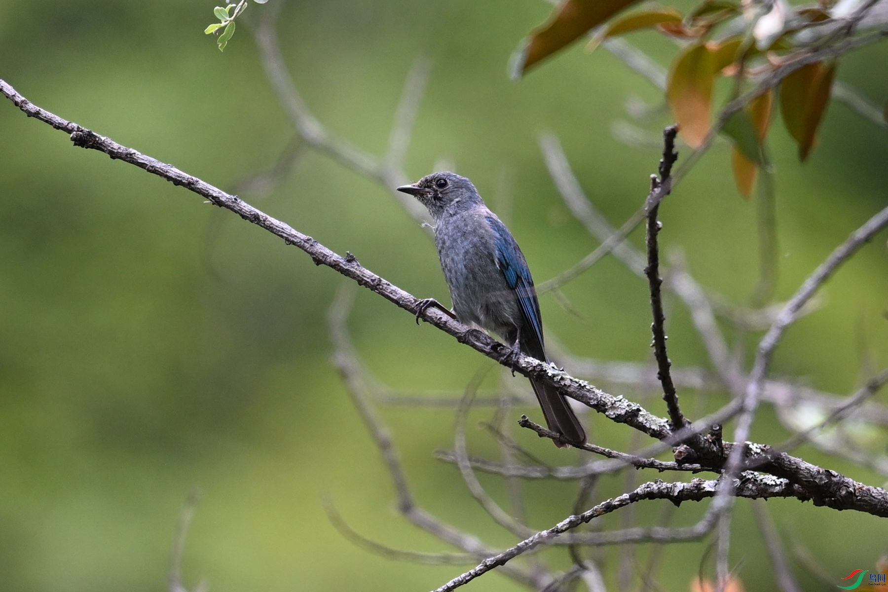 DSC_3022.JPG