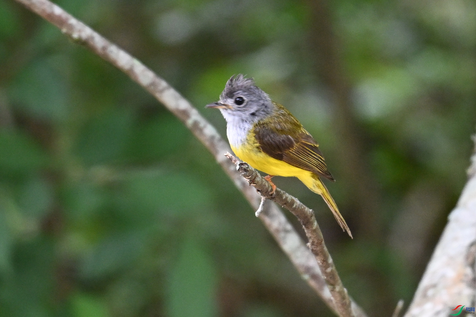 DSC_3082.JPG