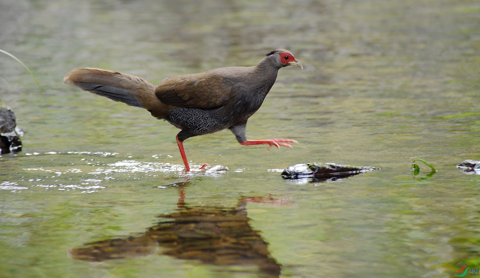 DSC_5972.jpg