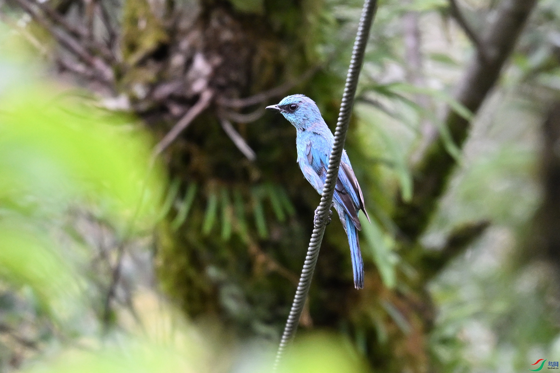 DSC_3055.JPG