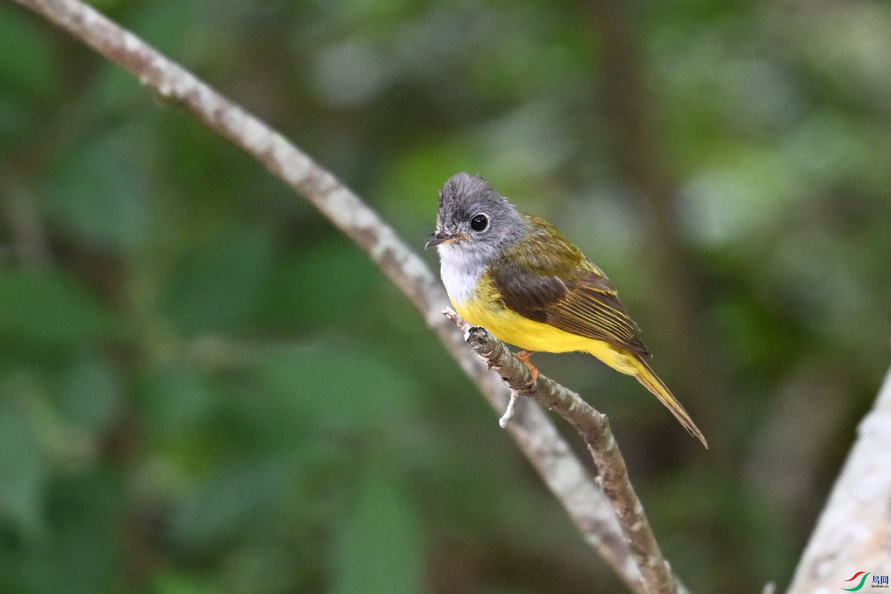 DSC_3084.JPG