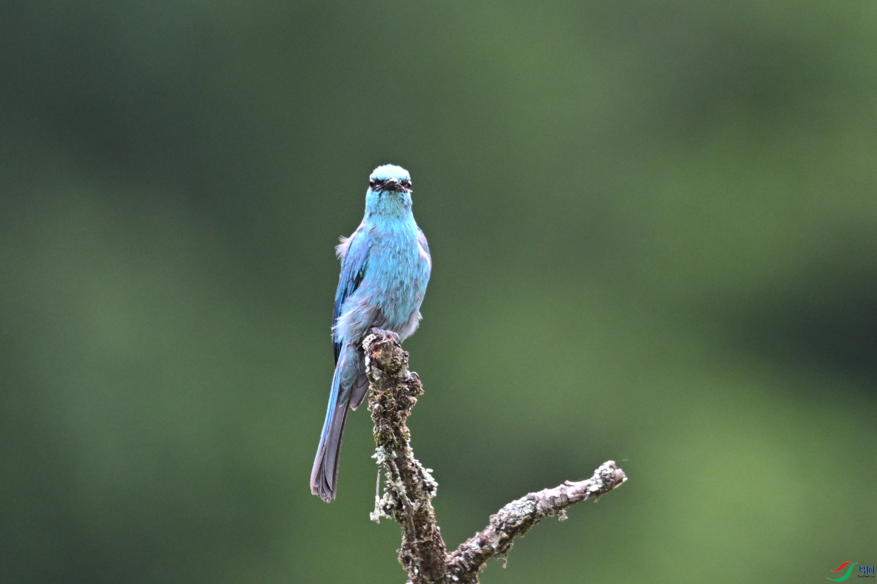 DSC_3116.JPG