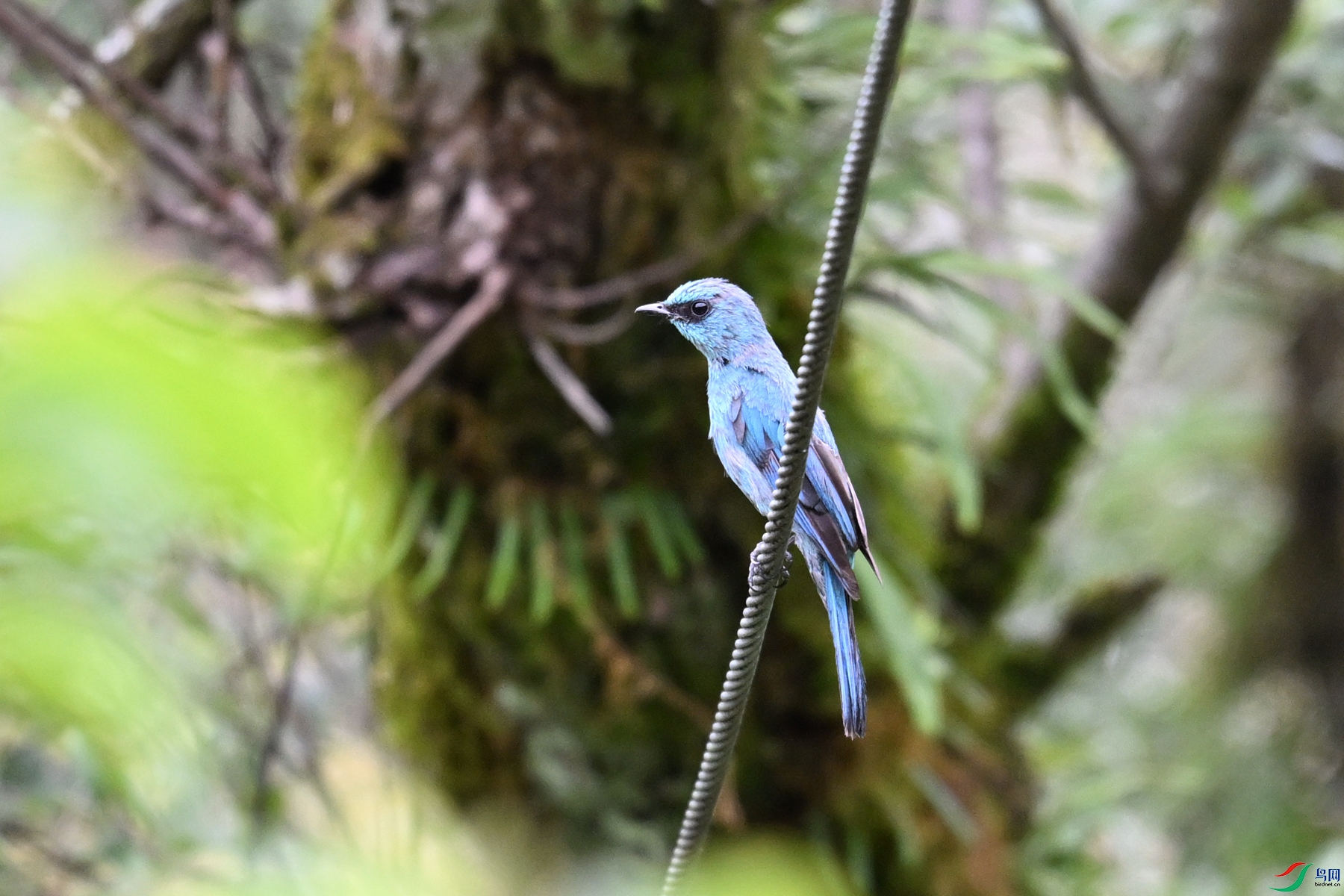 DSC_3056.JPG