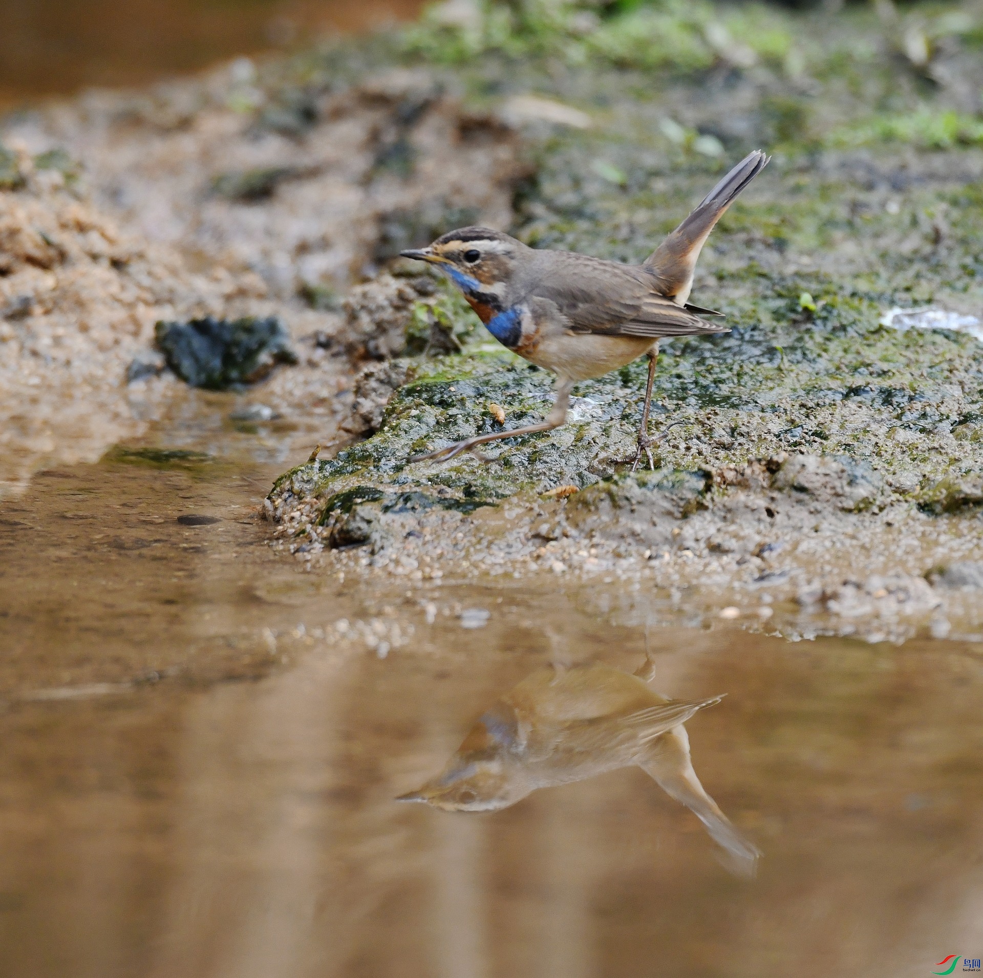 DSC_7542.jpg