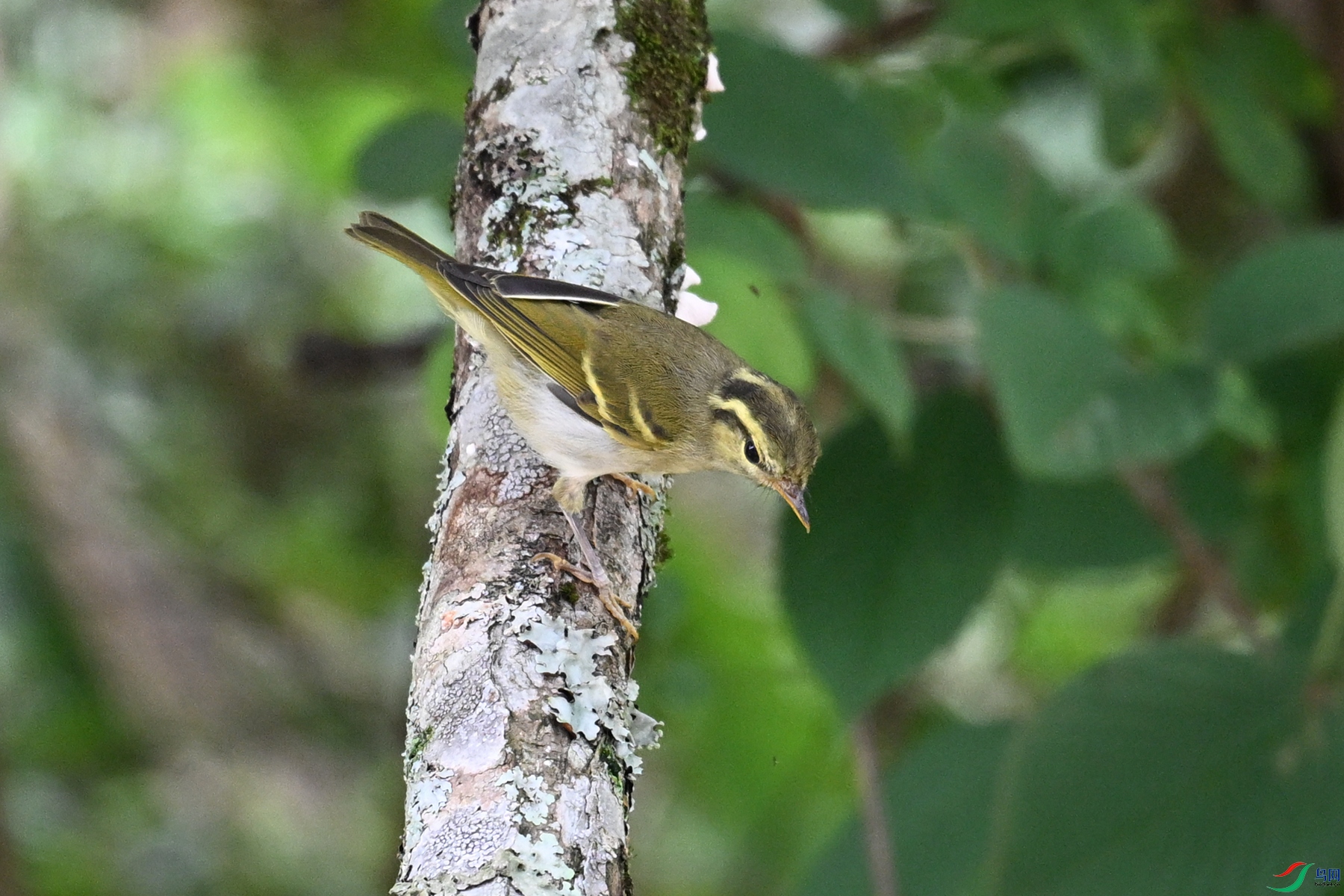 DSC_3110.JPG