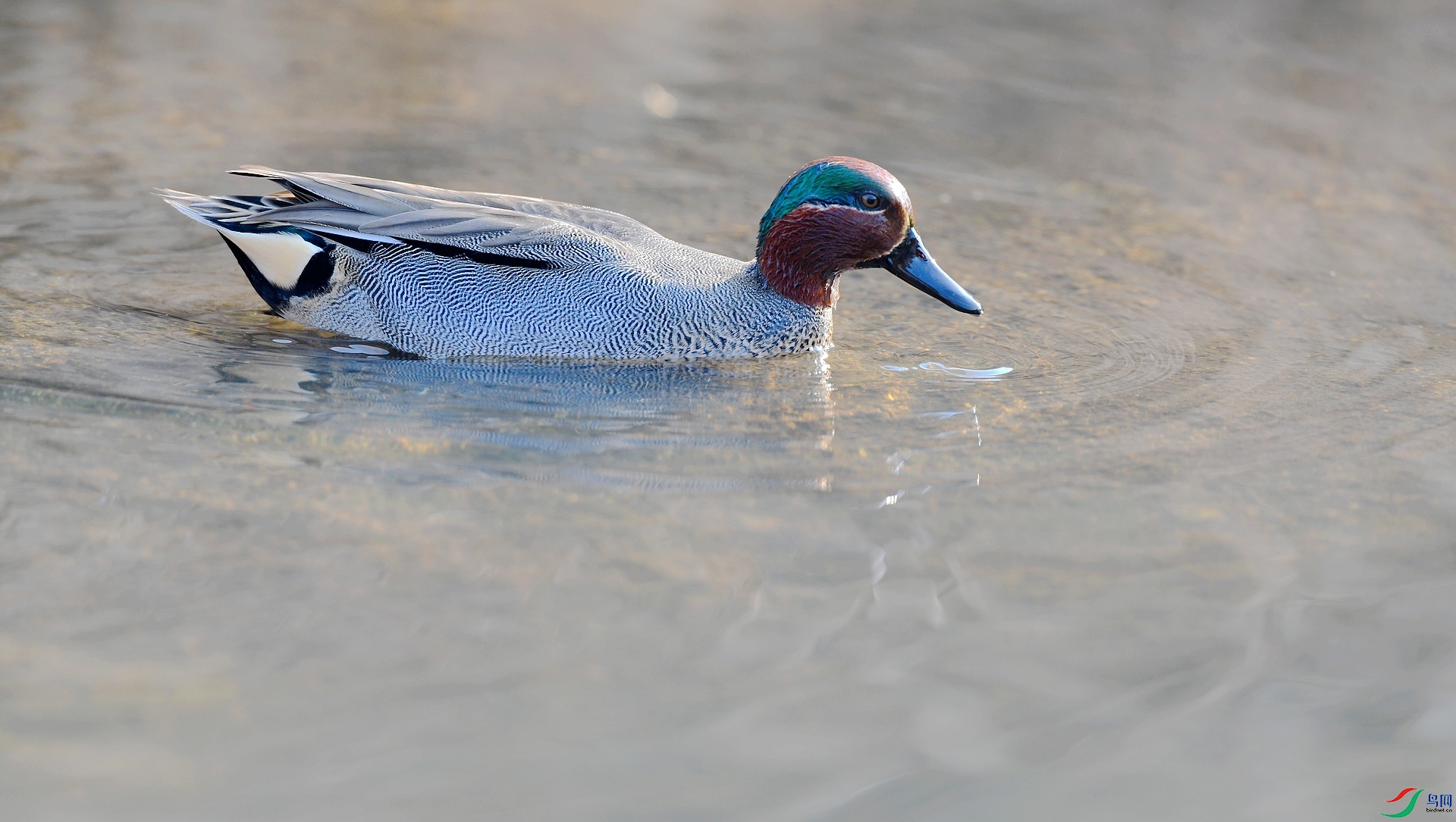 DSC_8989.jpg