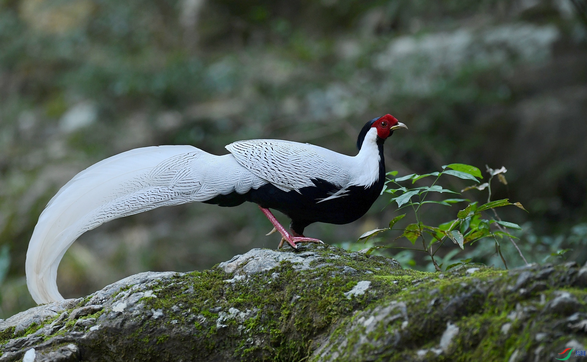 DSC_8736.jpg