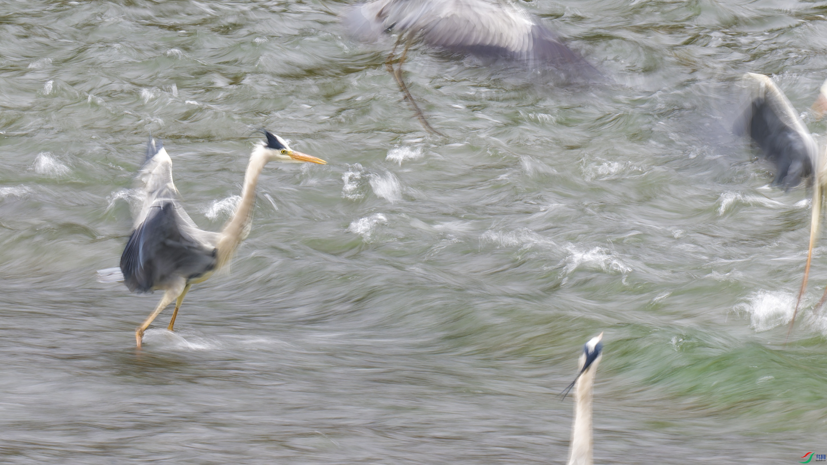 DSC_0222_DxO.jpg