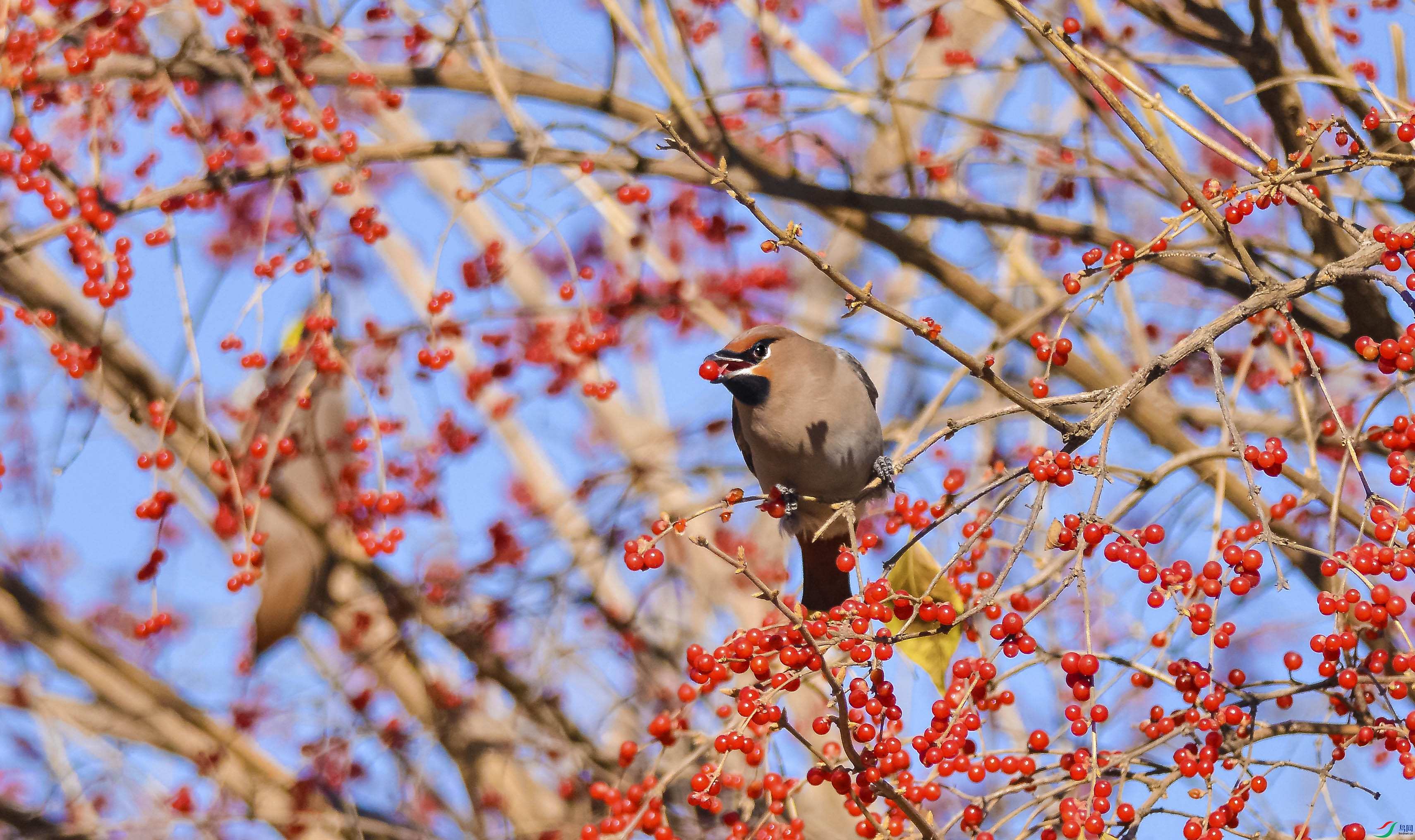 DSC_1096.jpg