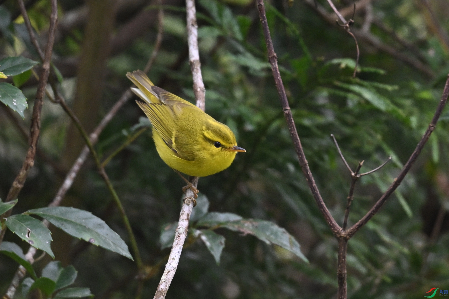 DSC_7104.JPG
