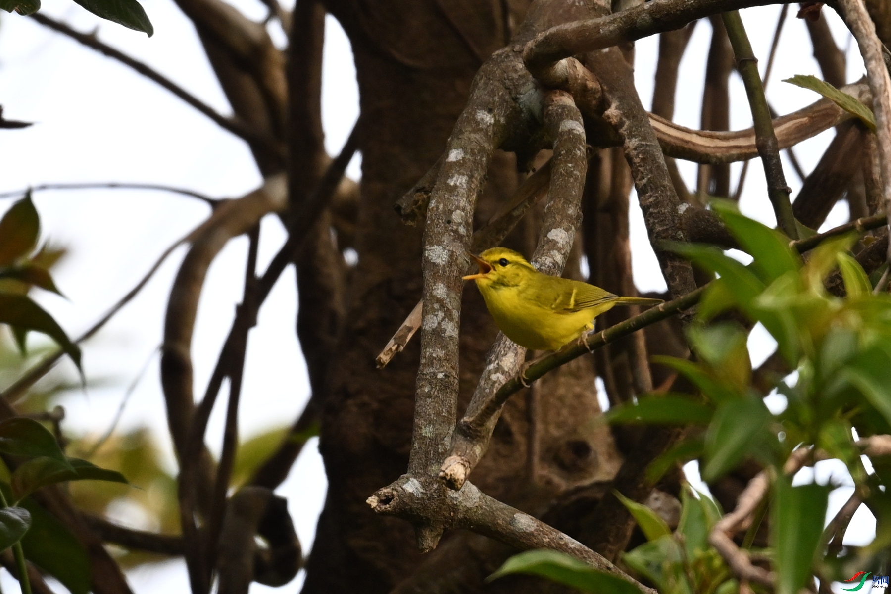 DSC_7129.JPG