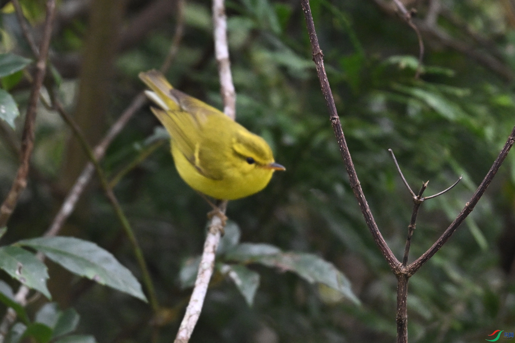 DSC_7107.JPG