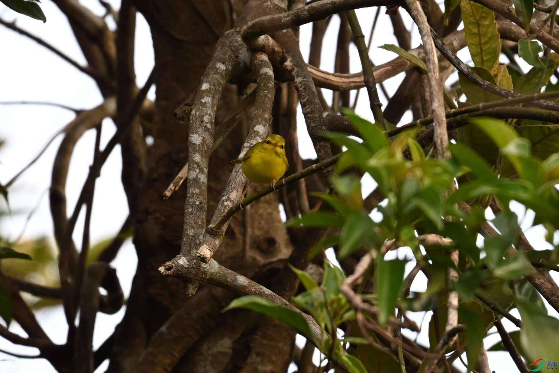 DSC_7134.JPG