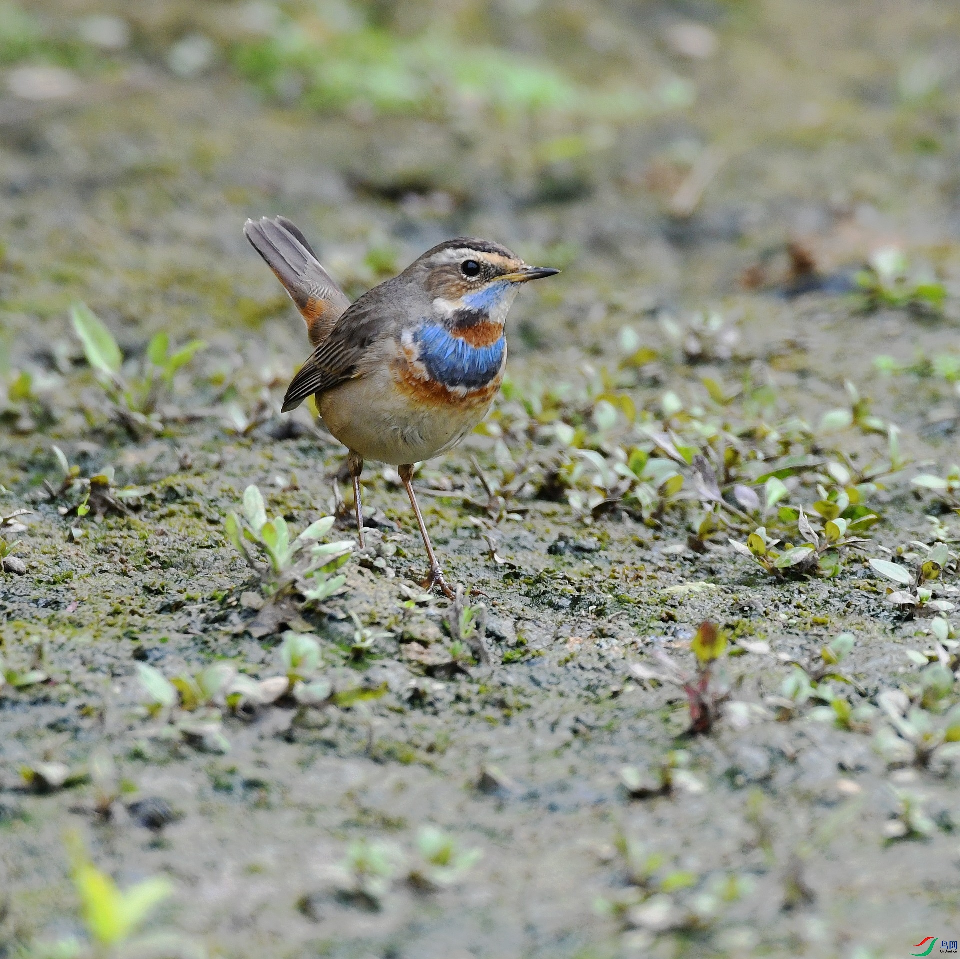 DSC_7635.jpg