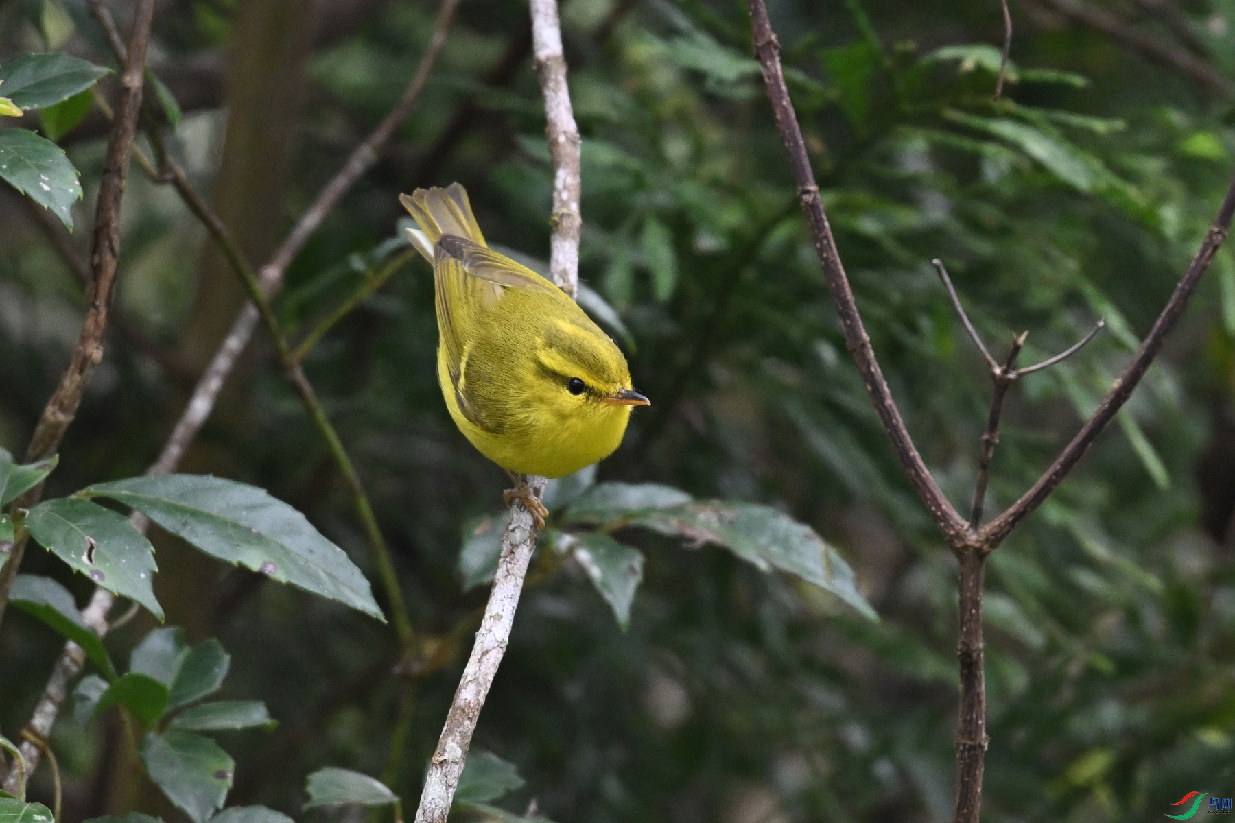DSC_7070.JPG