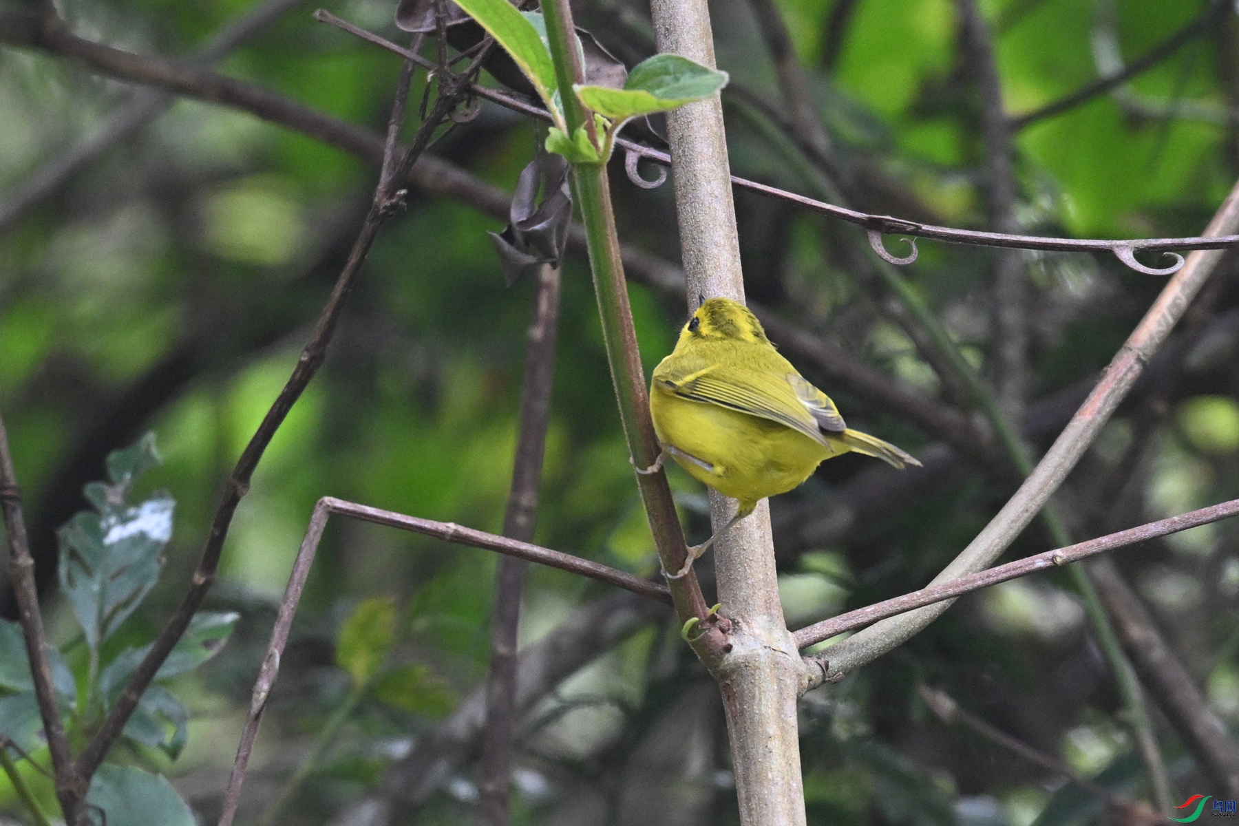 DSC_7116.JPG