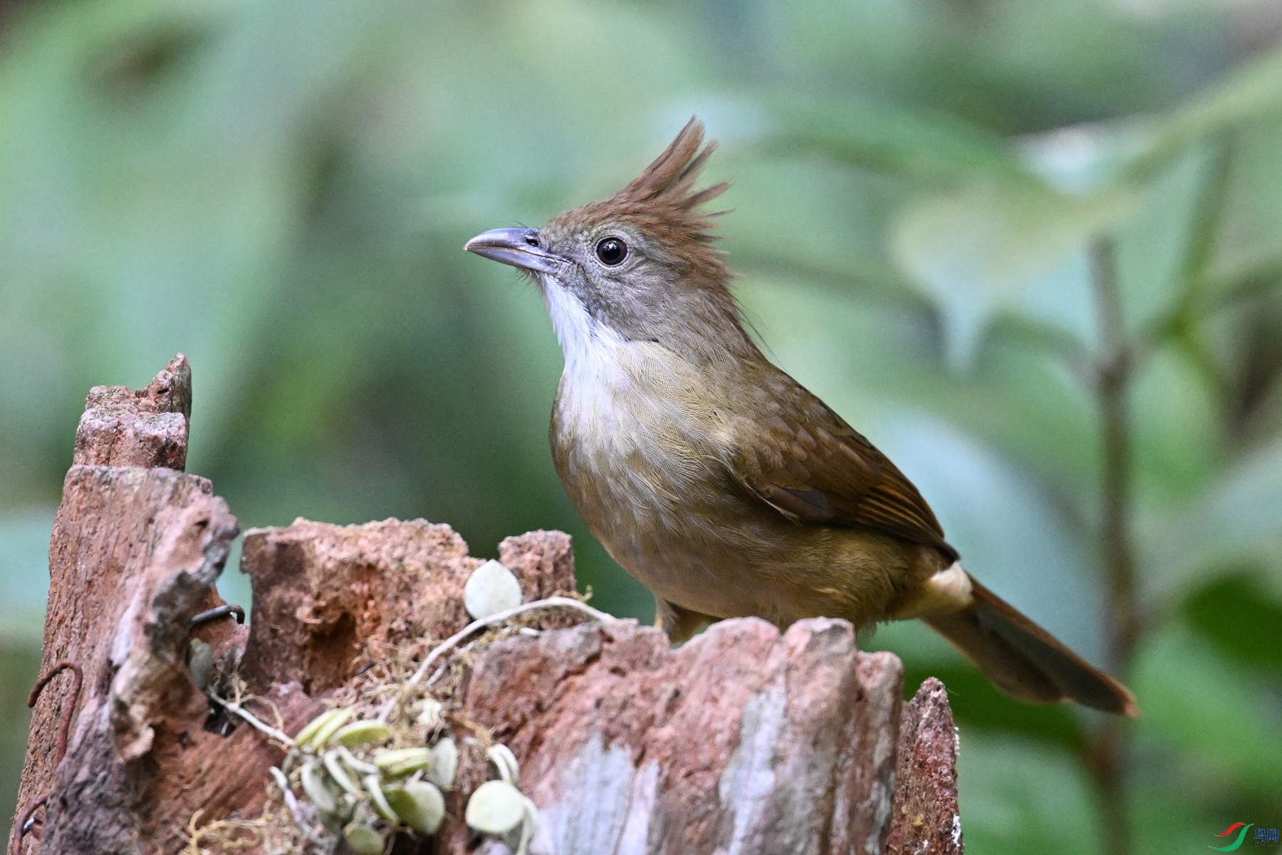 DSC_7144.JPG