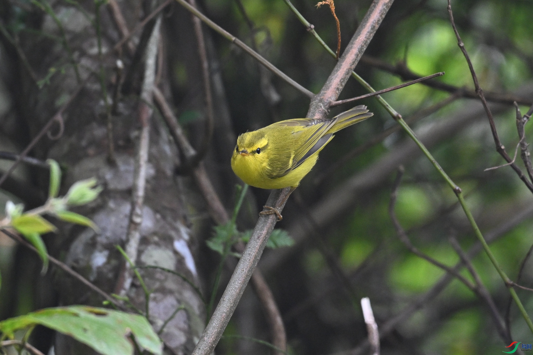 DSC_7120.JPG
