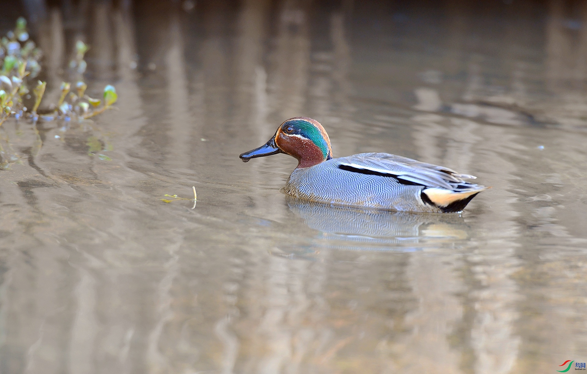 DSC_8719.jpg