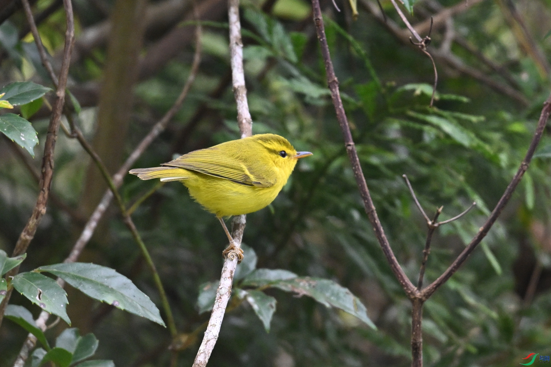 DSC_7095.JPG