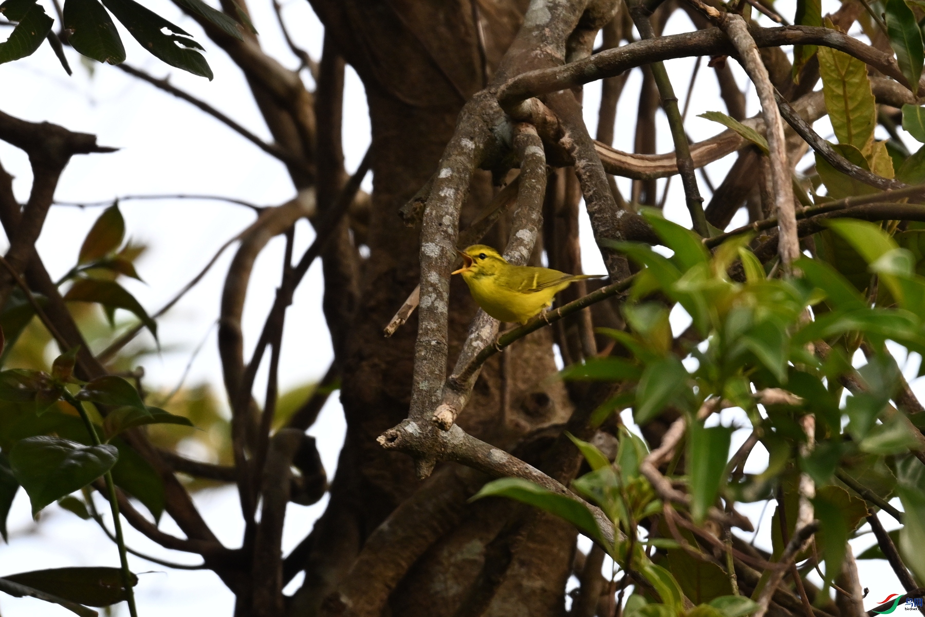 DSC_7128.JPG