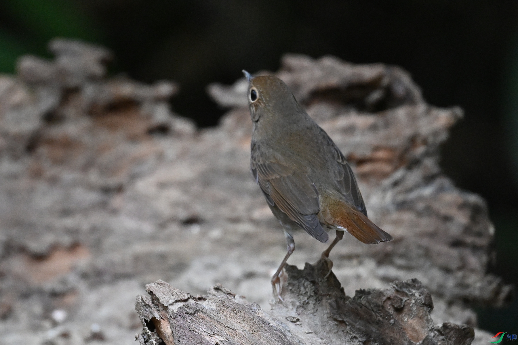 DSC_7153.JPG