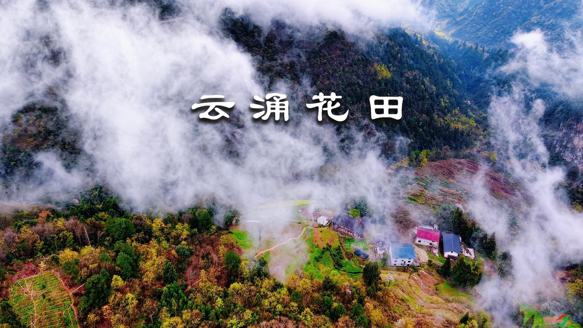 ��ӿ����