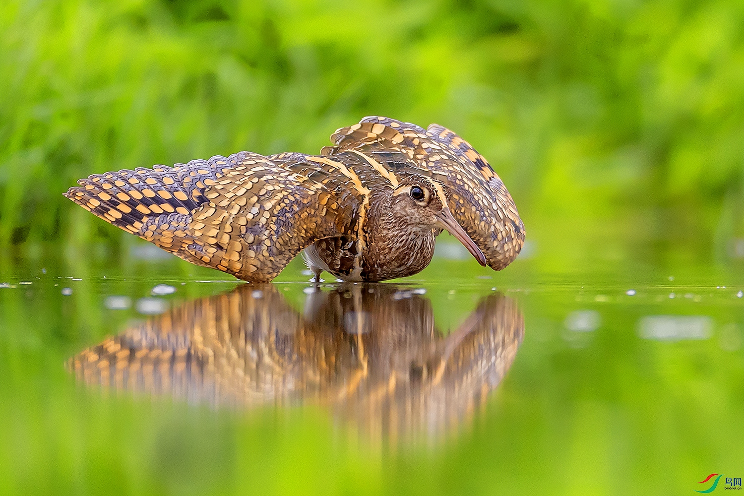 0F7A9803 ����.jpg