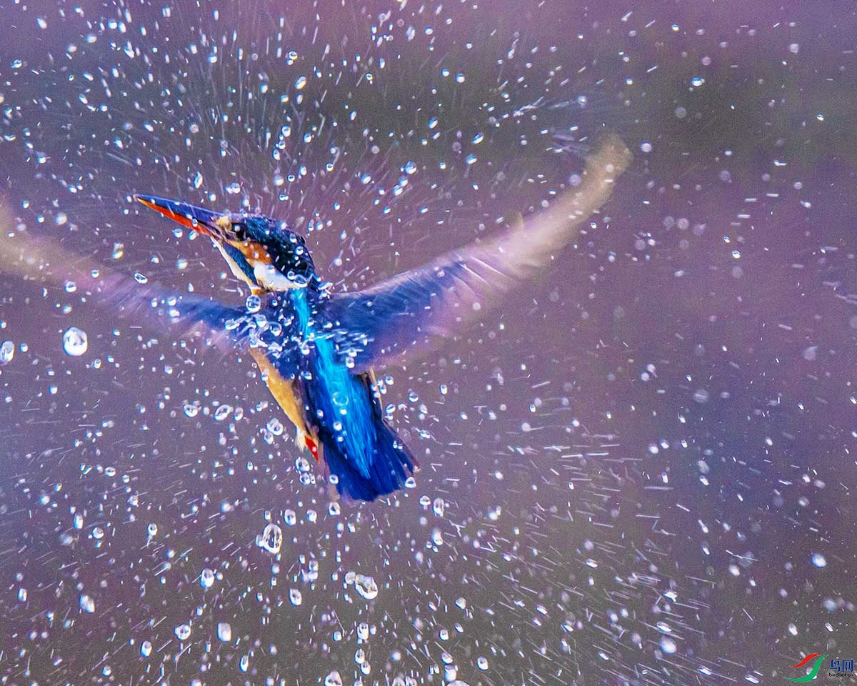 DSC_9134.jpg