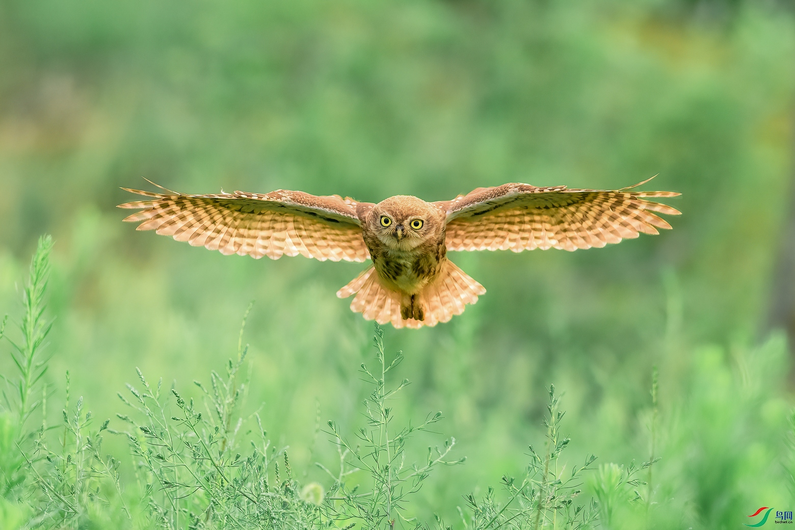 DSC_0939 ���� 201.jpg