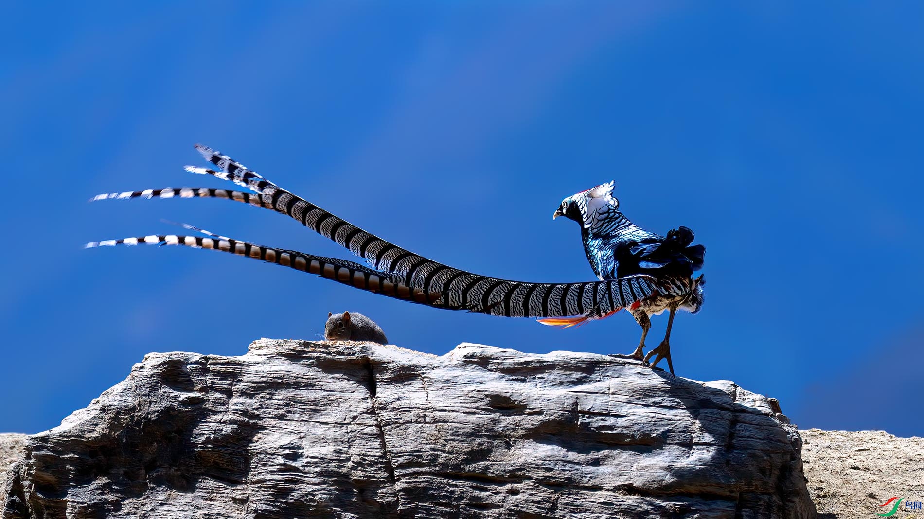 �����µ�����