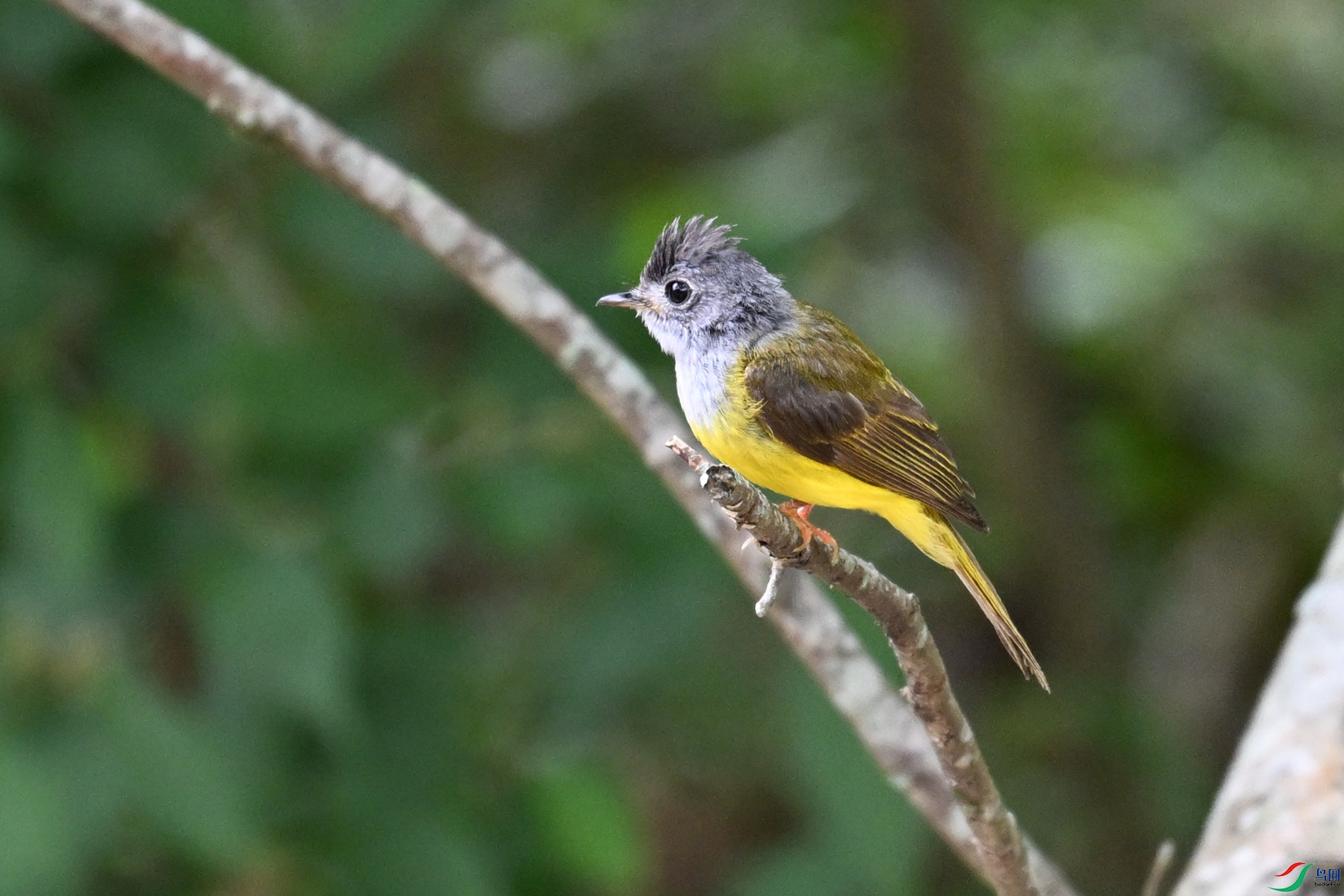 DSC_3066.JPG