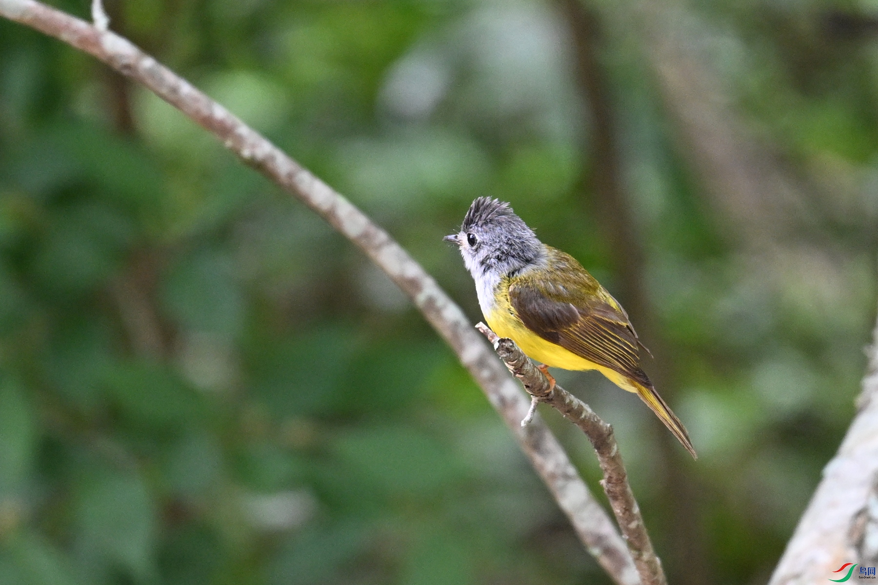 DSC_3107.JPG