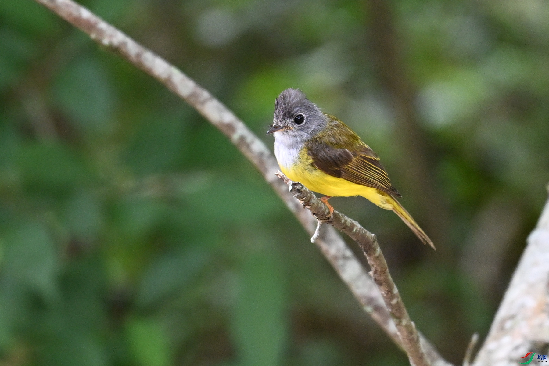 DSC_3072.JPG