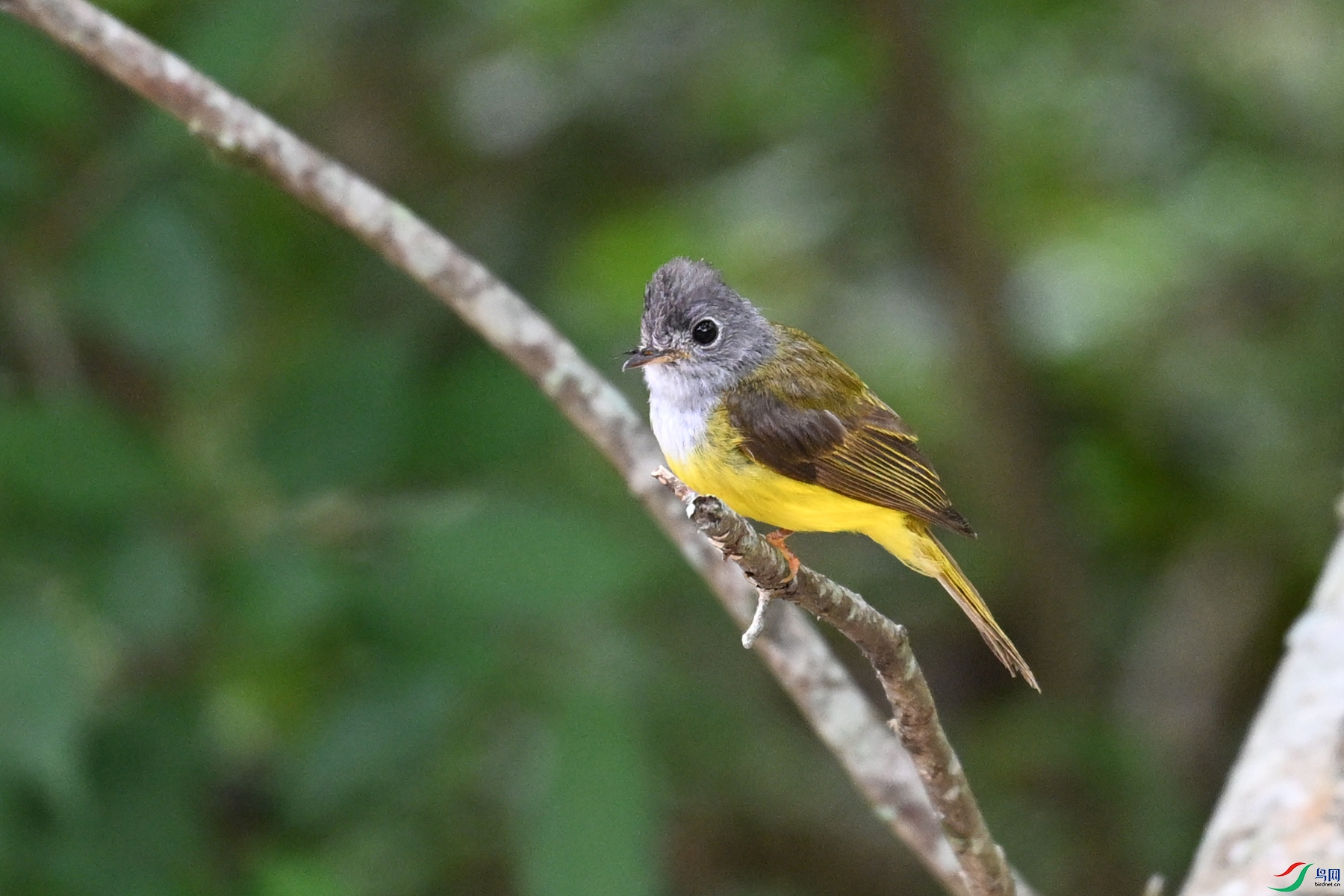 DSC_3076.JPG