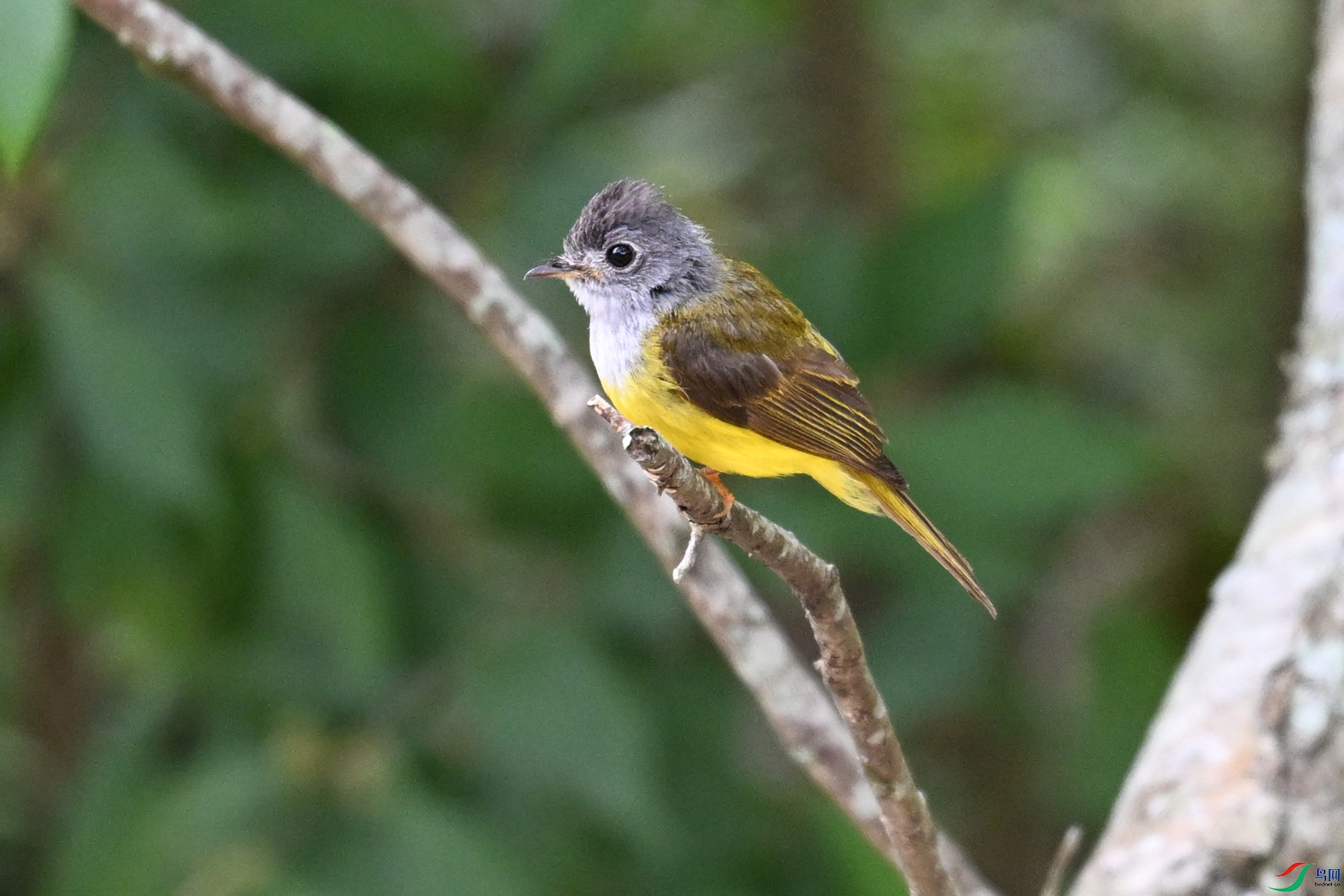 DSC_3099.JPG