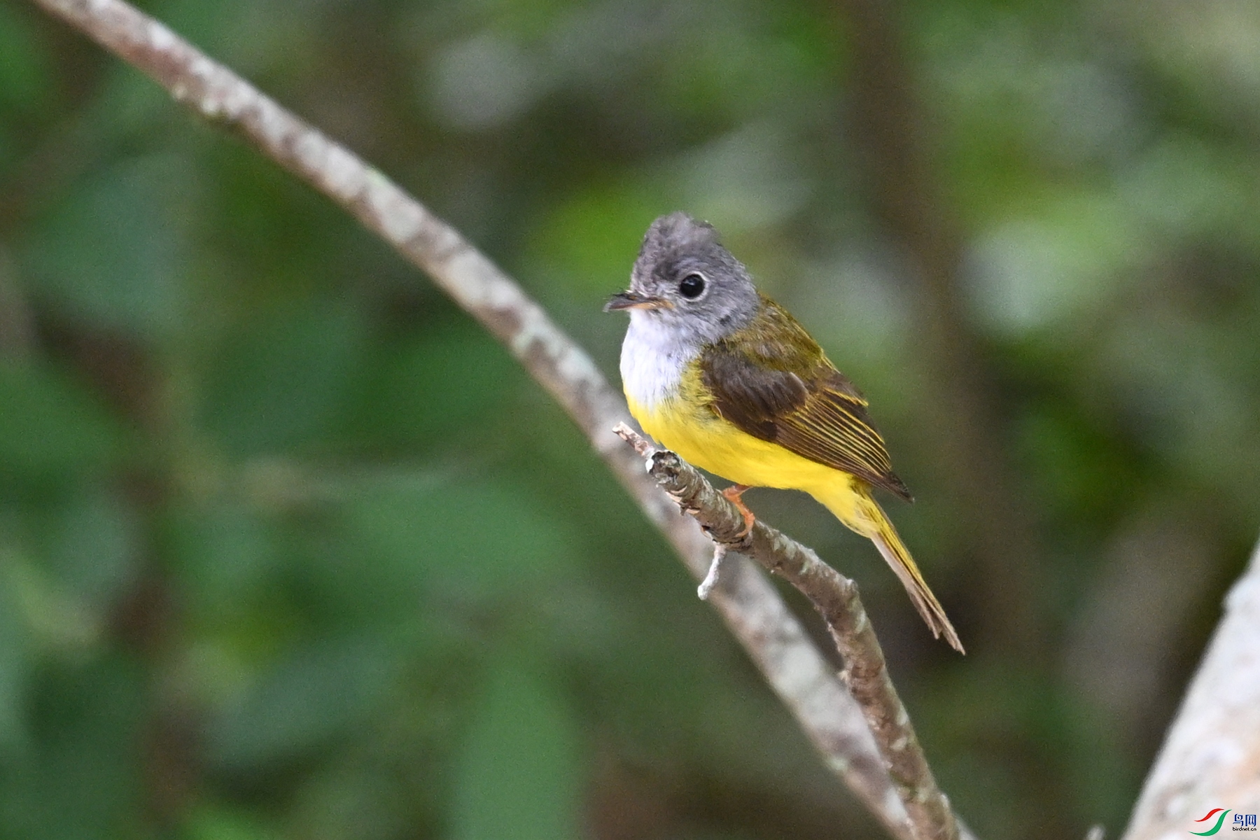 DSC_3079.JPG