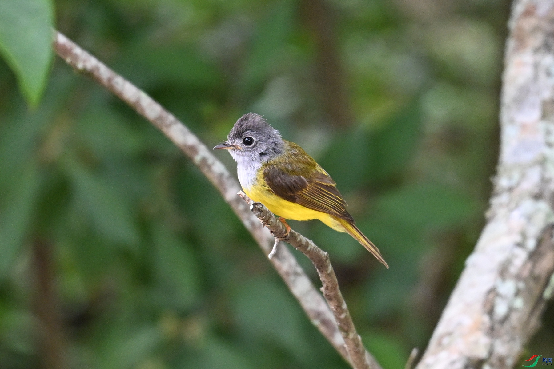 DSC_3101.JPG