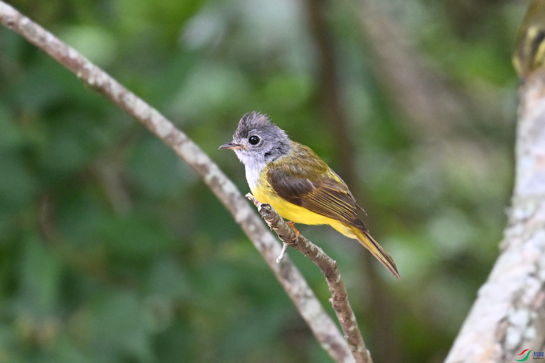 DSC_3103.JPG