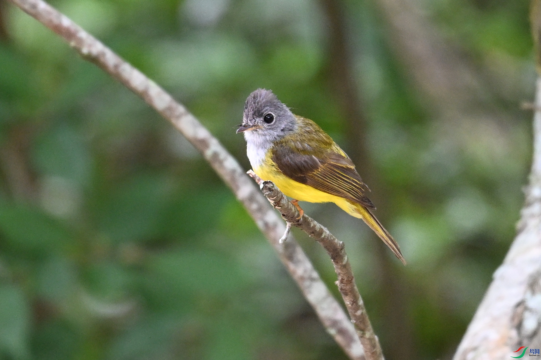 DSC_3105.JPG
