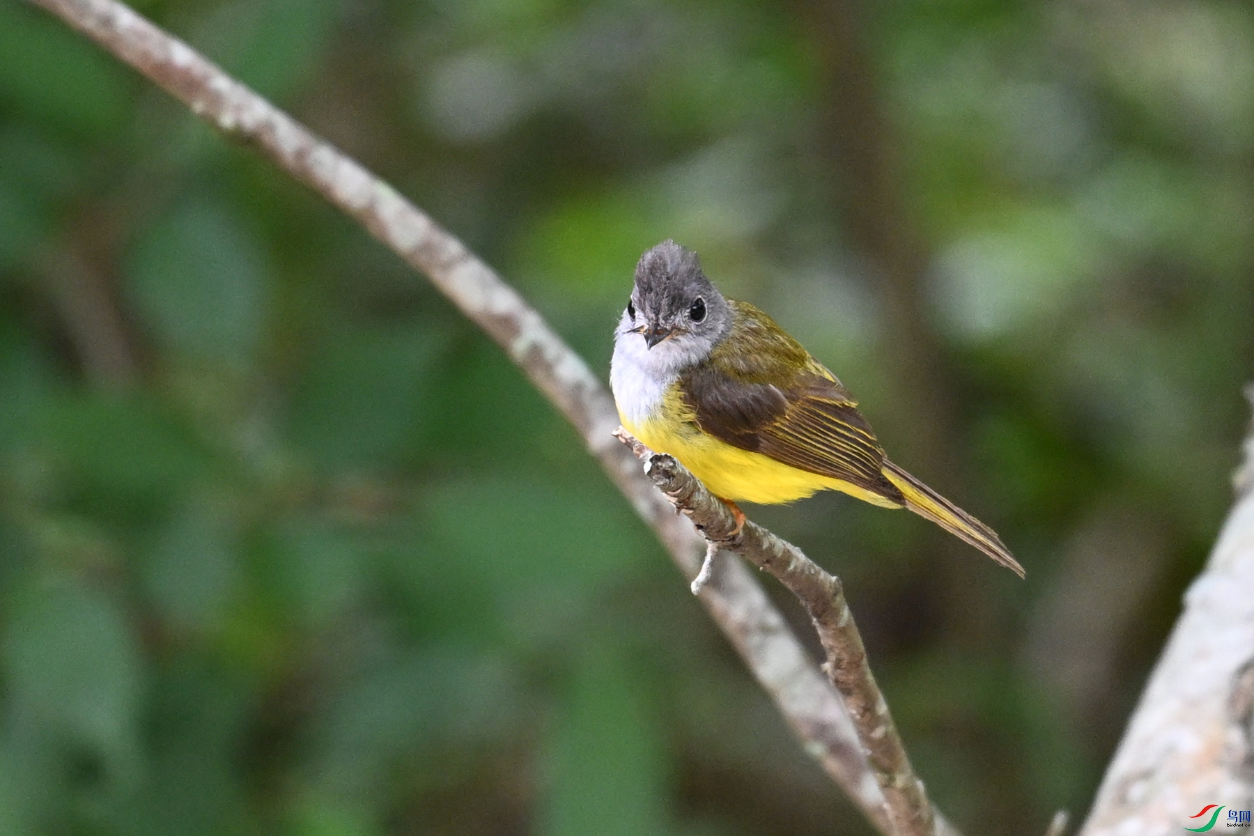 DSC_3086.JPG