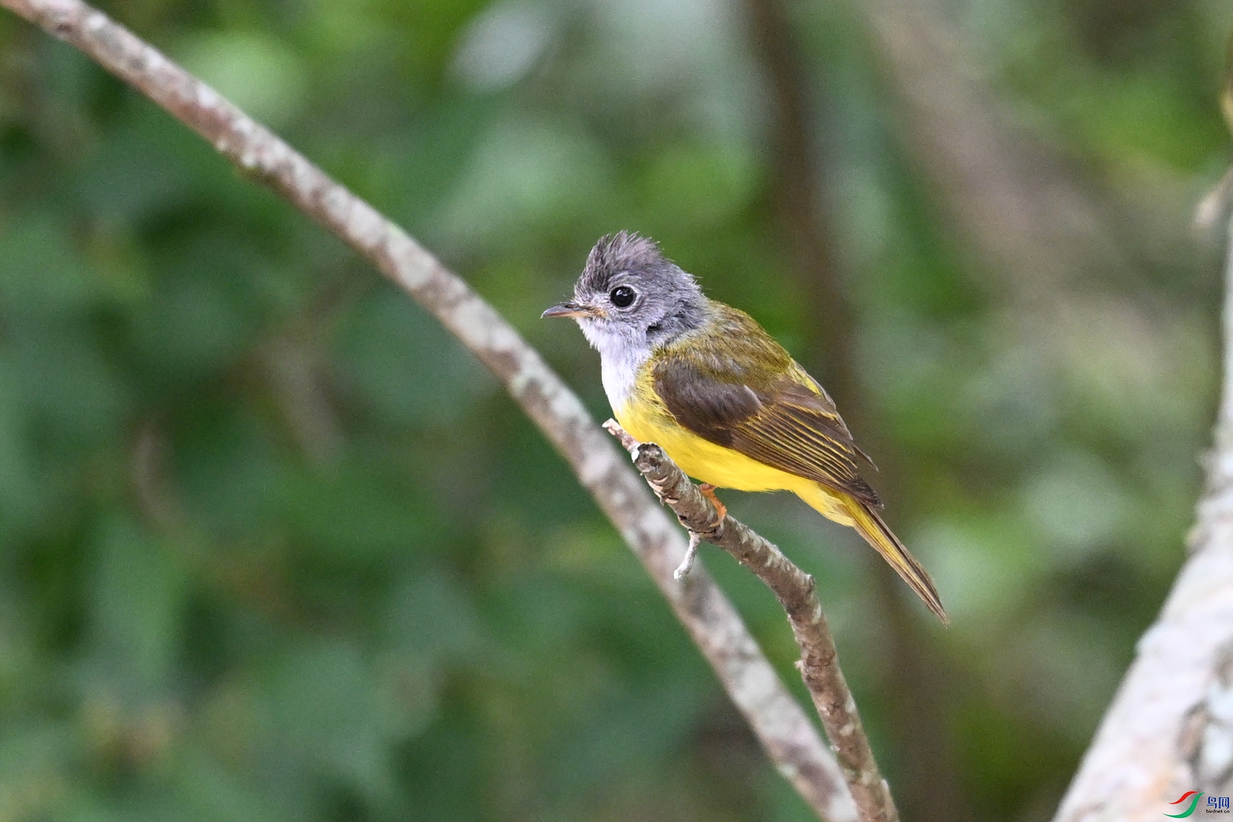 DSC_3104.JPG