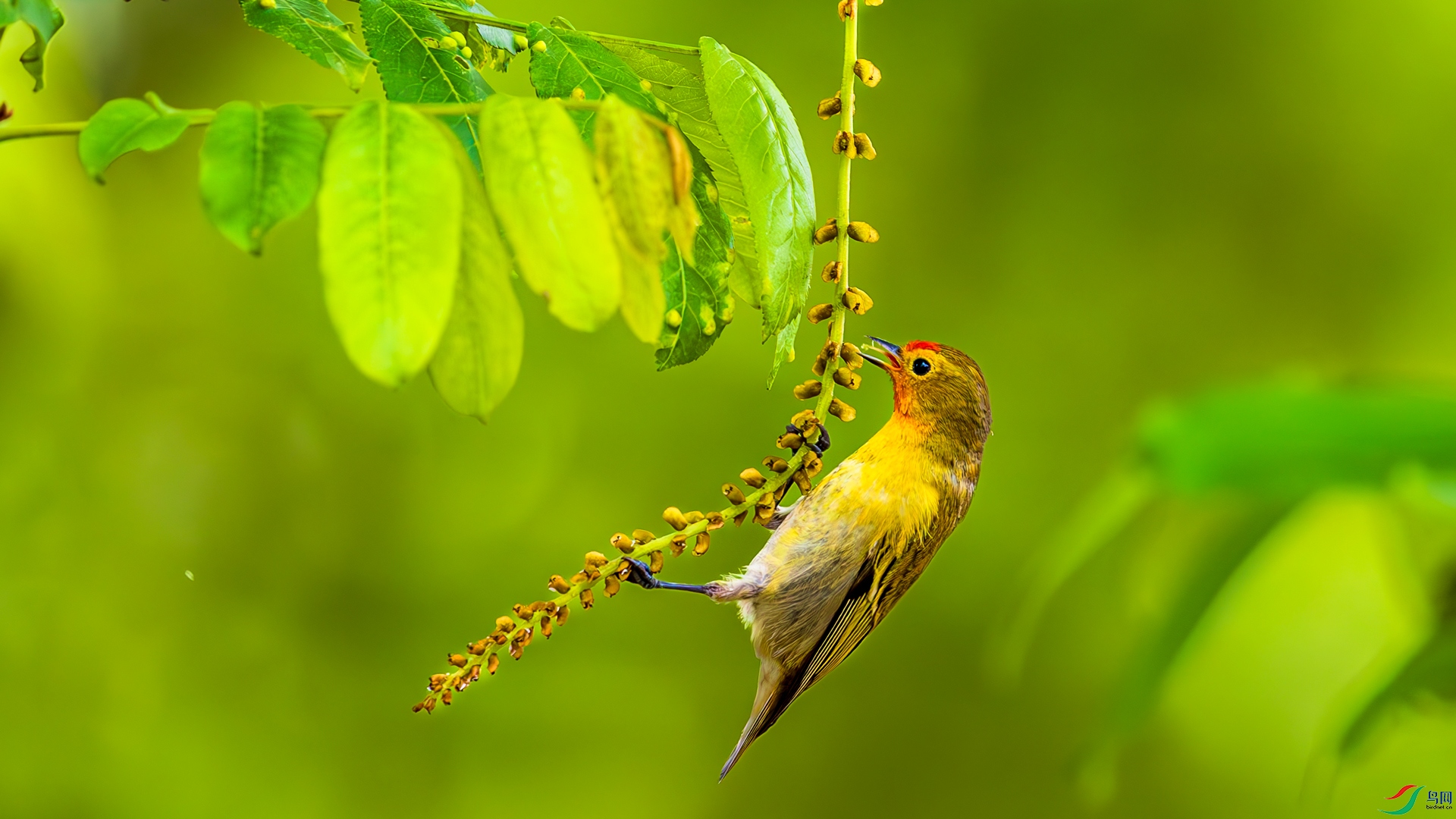 1A3A3648-����ǿ-NR-1.jpg