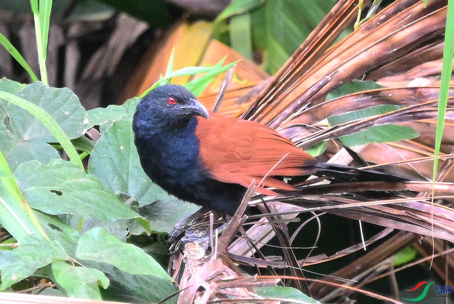 DSC_2692.JPG